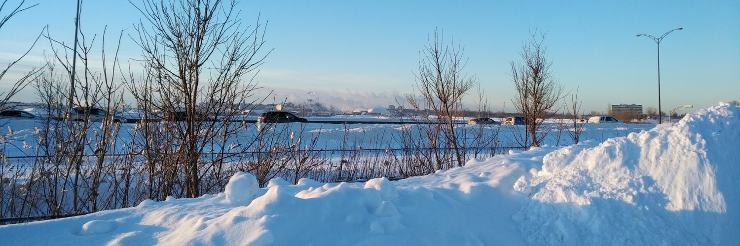 Montrealer's profile banner image