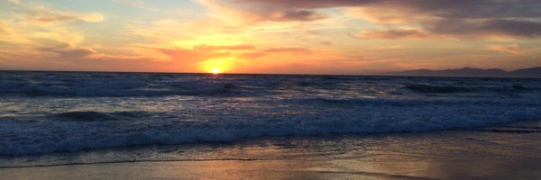 kzoss Profile Banner