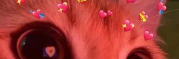 cranebirdd Profile Banner