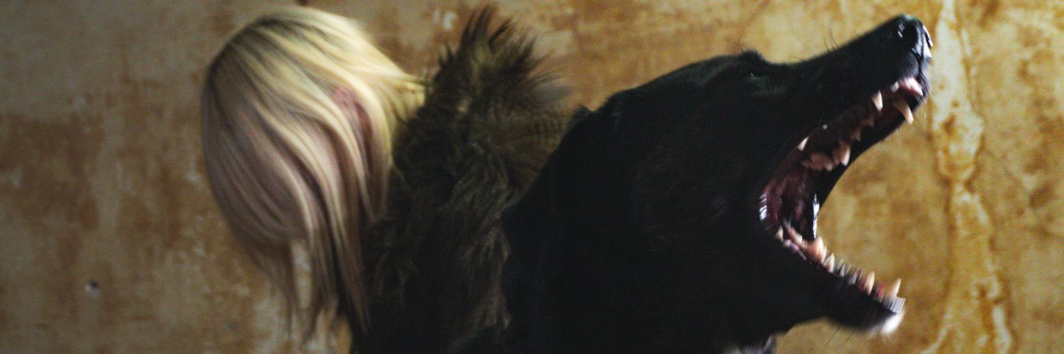 Error Vanessa banner