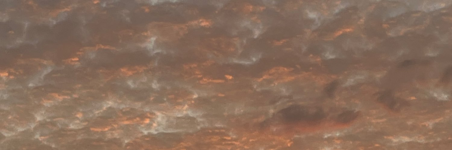 𝓁𝒾𝓁𝒾 ²⁵˚ banner