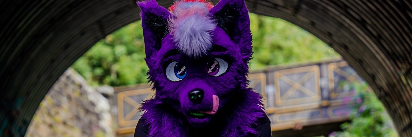 TechWolfPhotografur banner