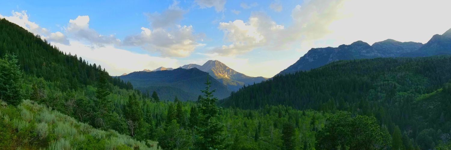 codythemac's profile banner image