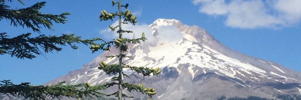 bbcricket Profile Banner