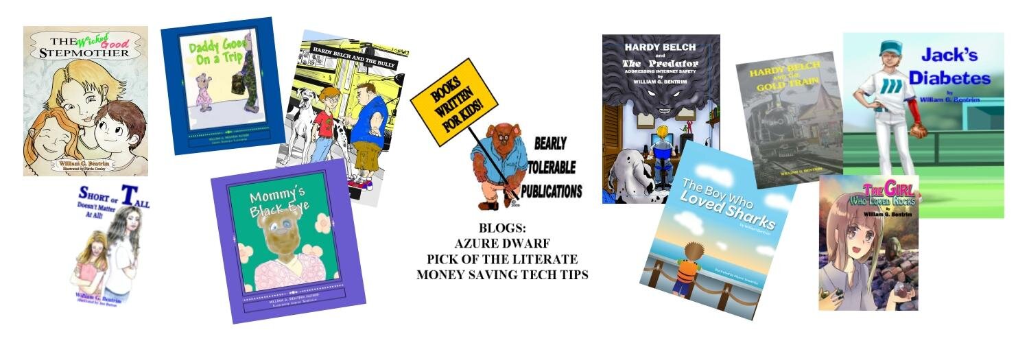 BearlyTolerable's profile banner image
