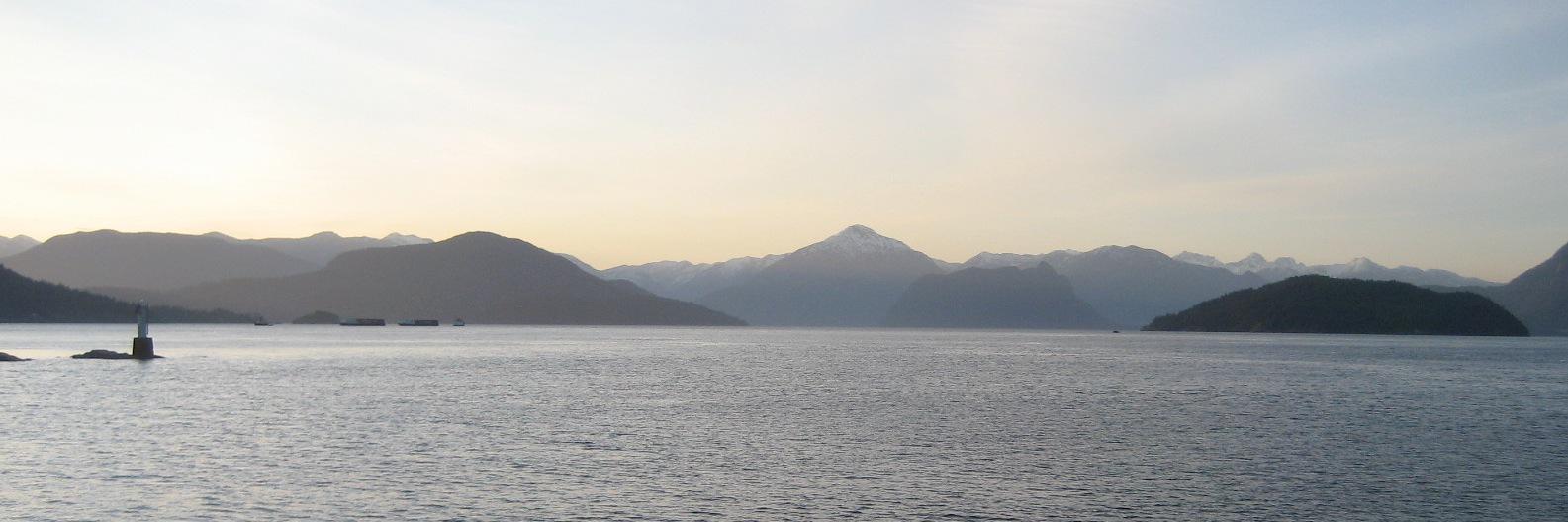 Susan Munro banner