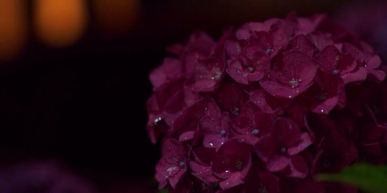 0526Teka's profile banner image