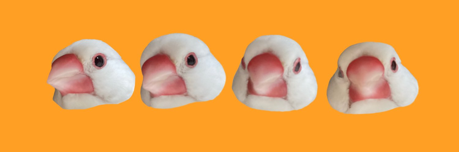 もちゃ's banner