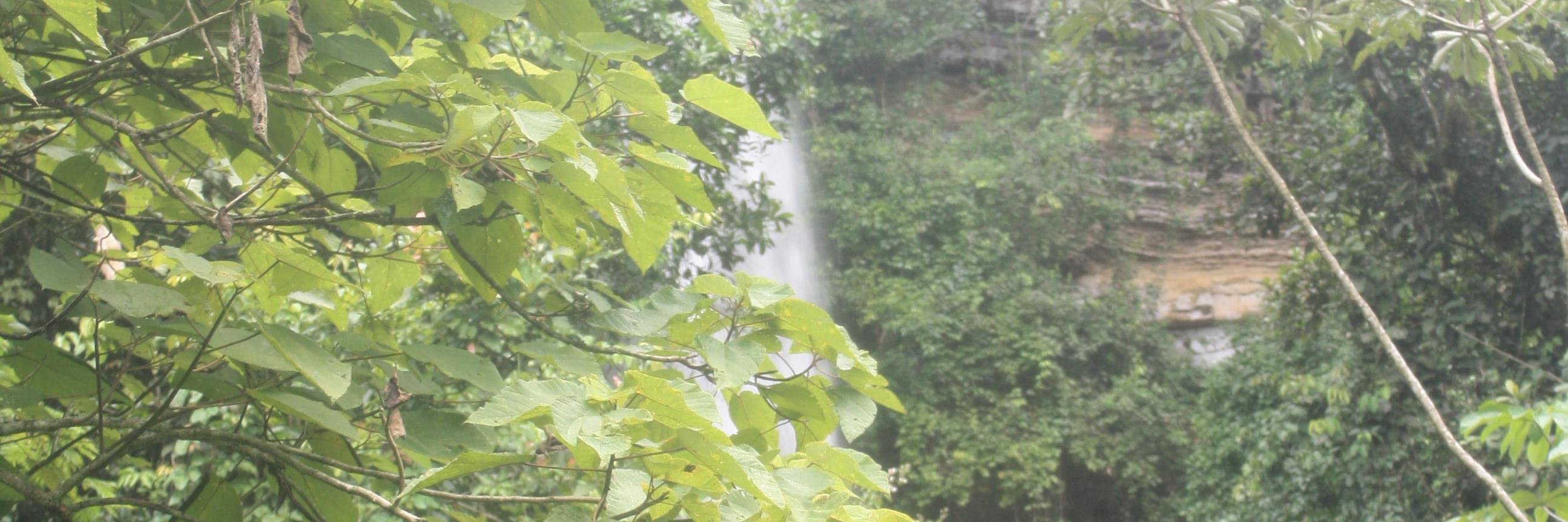Fabianafadv's profile banner image