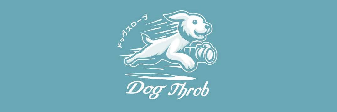 DogThrob's profile banner image