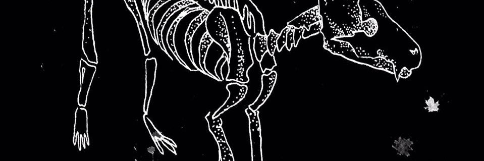 gracklewontsing's profile banner image