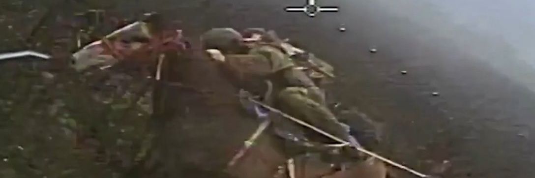 Pdentah🌾 🏳️‍⚧️ banner