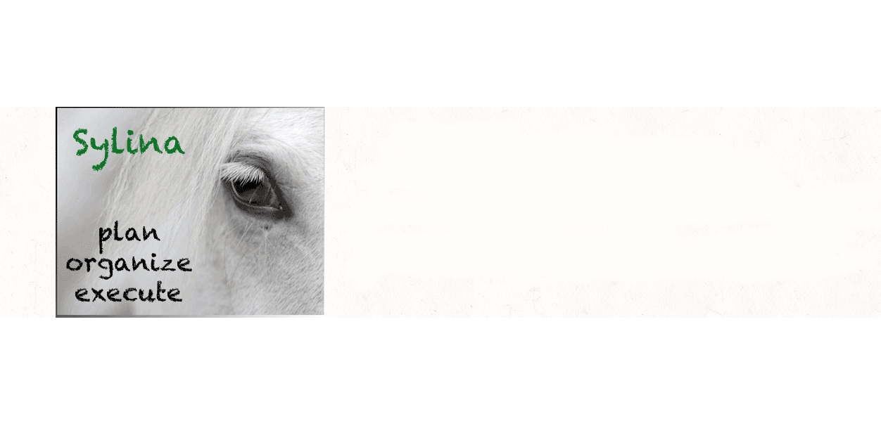 sylina8's profile banner image