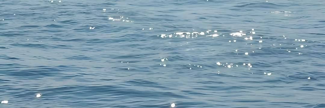 𝘊𝘩𝘶𝘶_𝘤𝘱.⋆🍥 banner