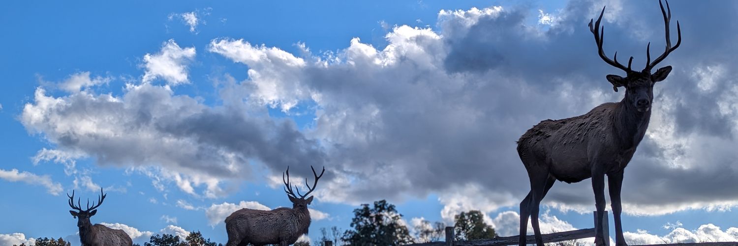 chrisgeswein's profile banner image