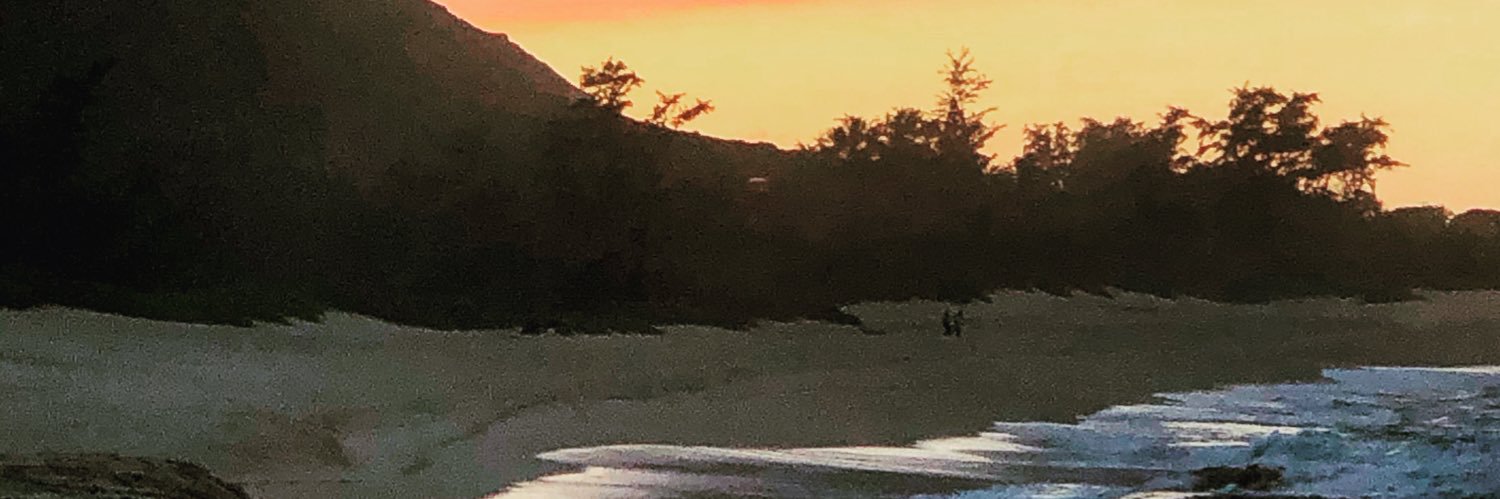 acaigirl's profile banner image