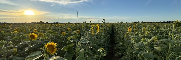 fifo9x Profile Banner