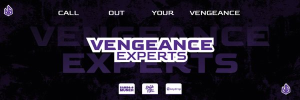 vengeancexperts Profile Banner