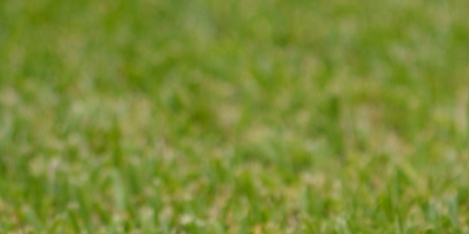 ing_aragon's profile banner image