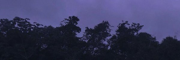 tsuhbasa Profile Banner