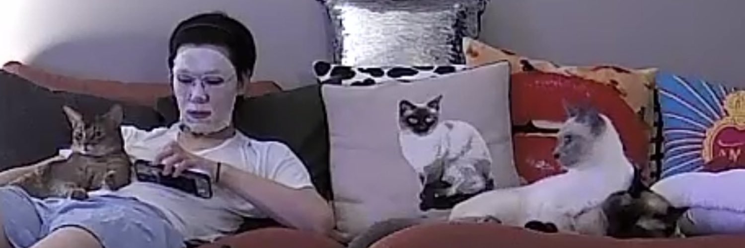 dry(ล์)🫧✿✿SOLDOUT banner