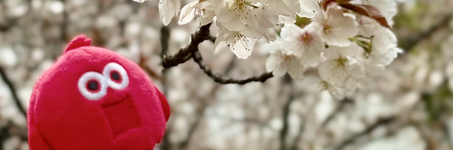 まり banner