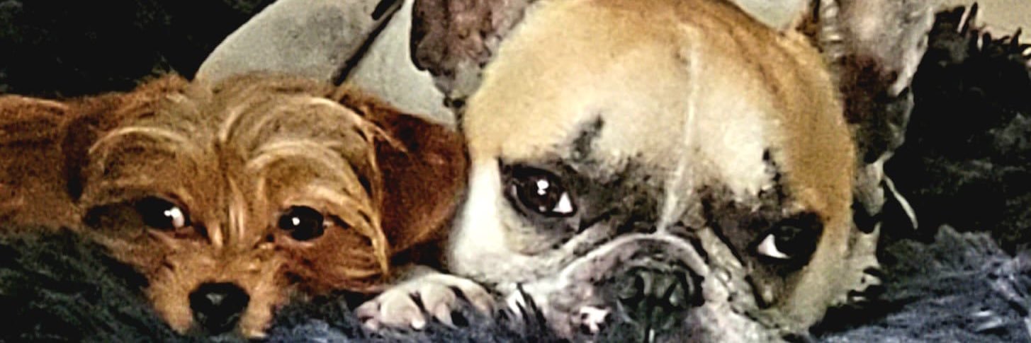 𝕺𝖙𝖍𝖒𝖆𝖓 🇲🇦 banner