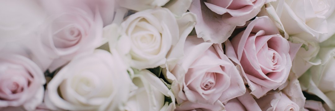 BlogVidadePapel's profile banner image