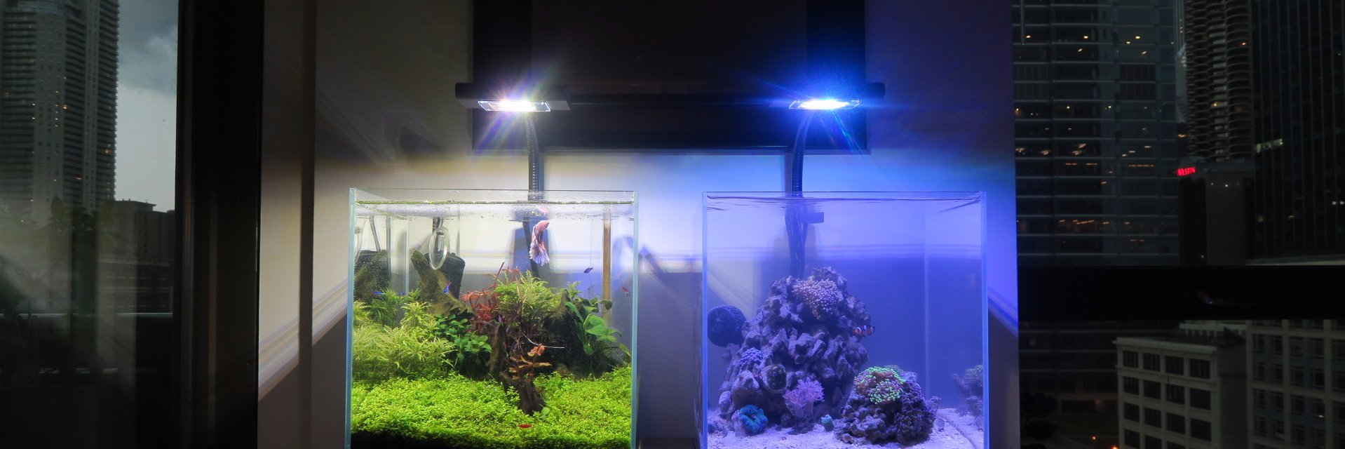 NanoBoxReef's profile banner image