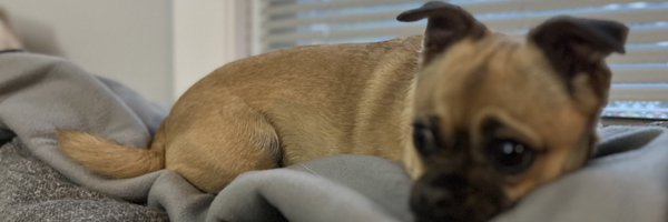 MathteachCT Profile Banner