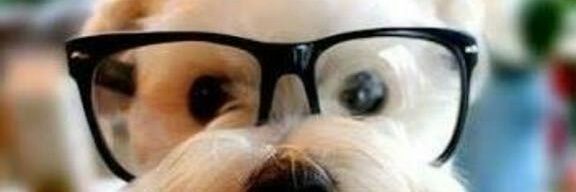 flako312's profile banner image
