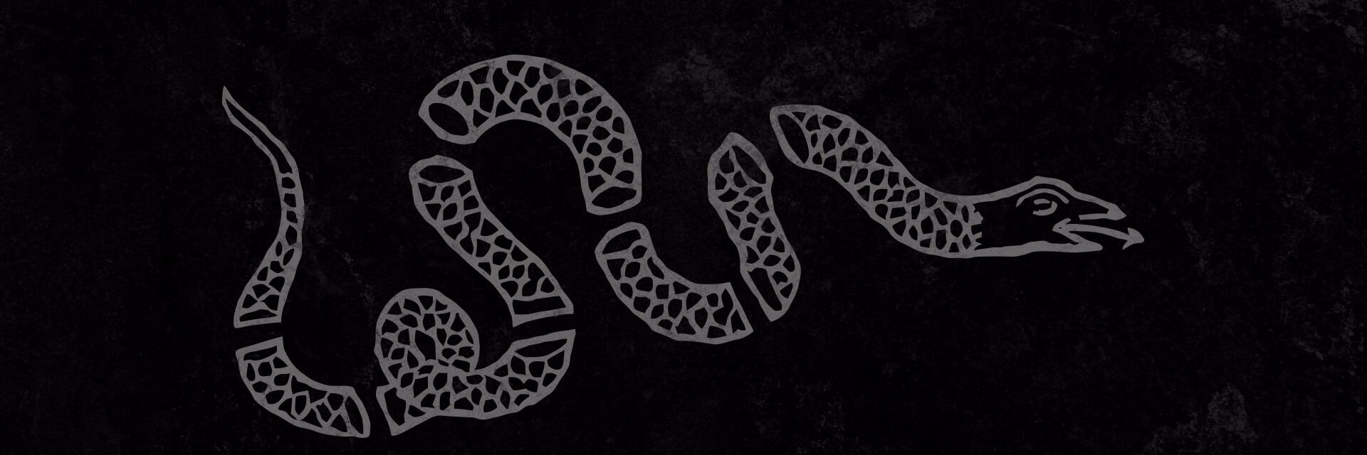 GrumpyNavyVet's profile banner image