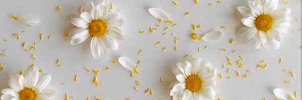 zeyn3p_t Profile Banner
