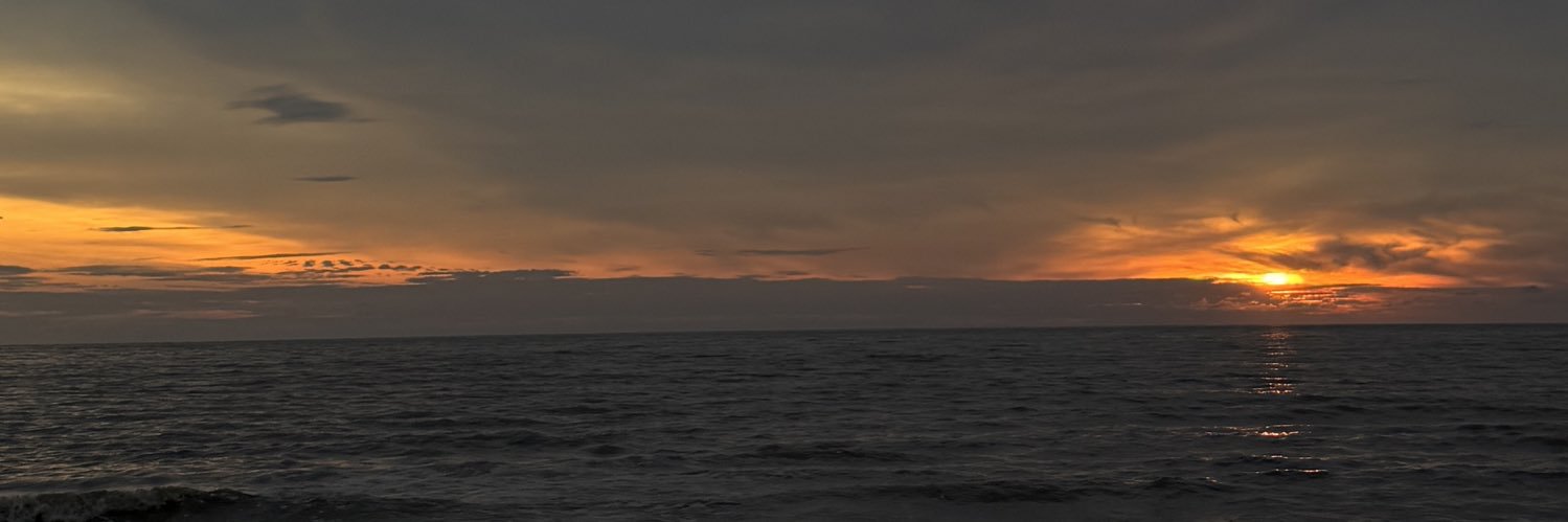 𝐳𝐢𝐬𝐬𝐞𝐥 (slr) banner