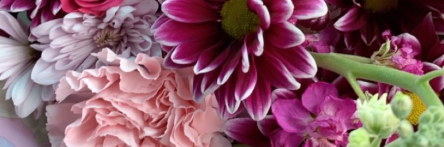 _KOKOJAE_'s profile banner image