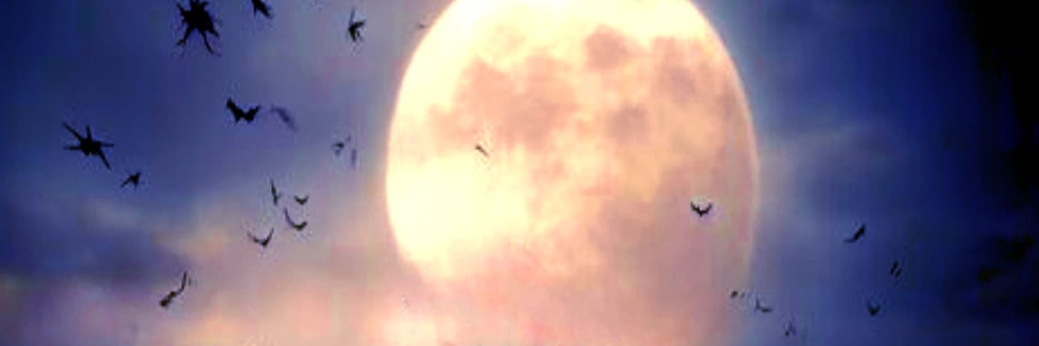 Samelia Allen banner