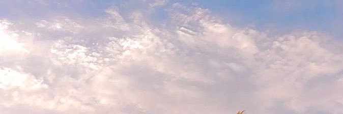 pikienim's profile banner image