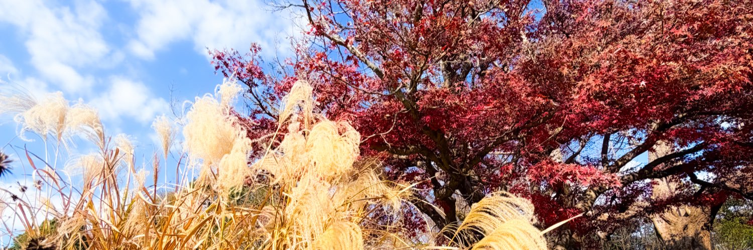 JUNKI.IMON_OFFICIAL banner