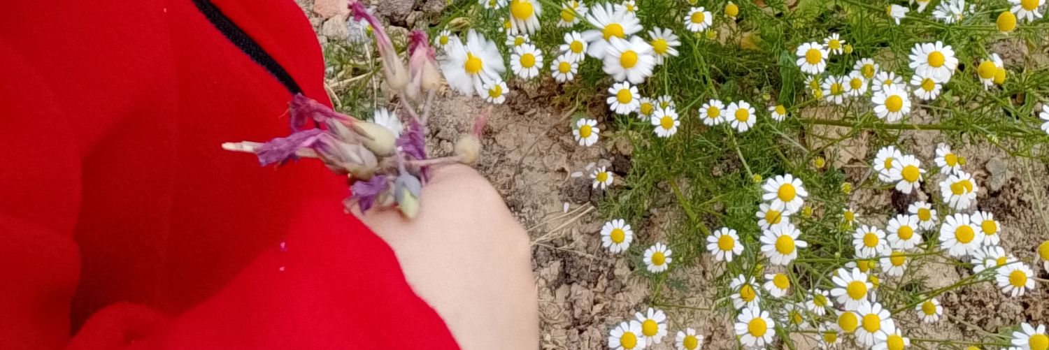 Fatoş banner