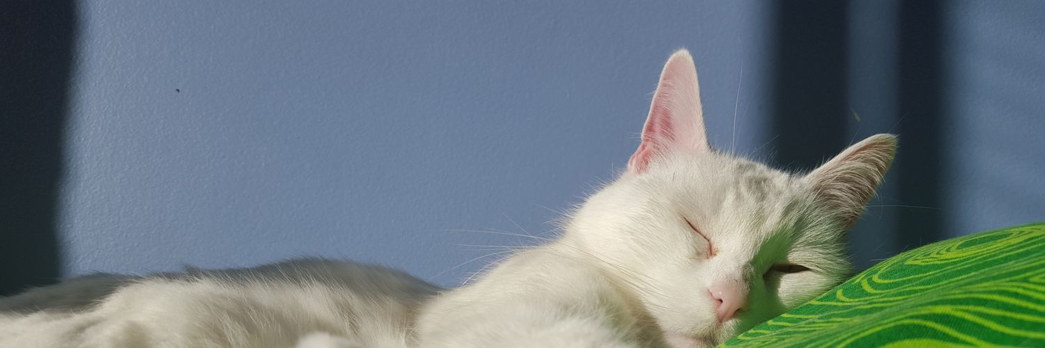 beaumontdiva's profile banner image