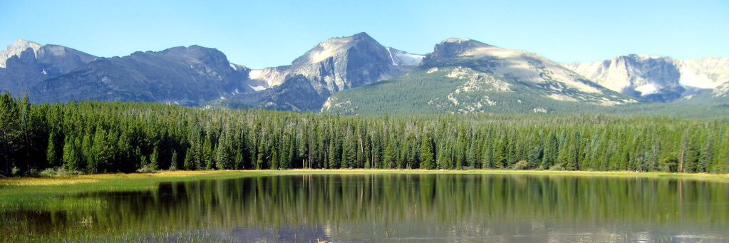 Payton Bartee banner