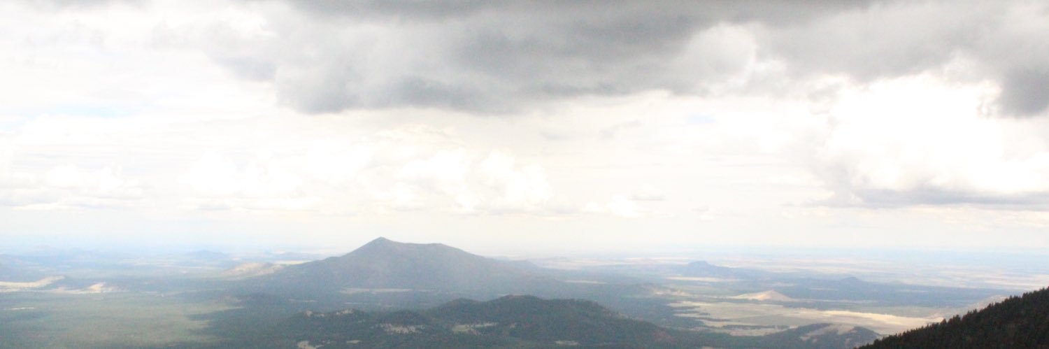 Taylorelysia's profile banner image