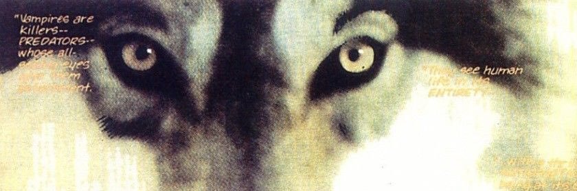 Nia ⋆˚🐾˖° banner