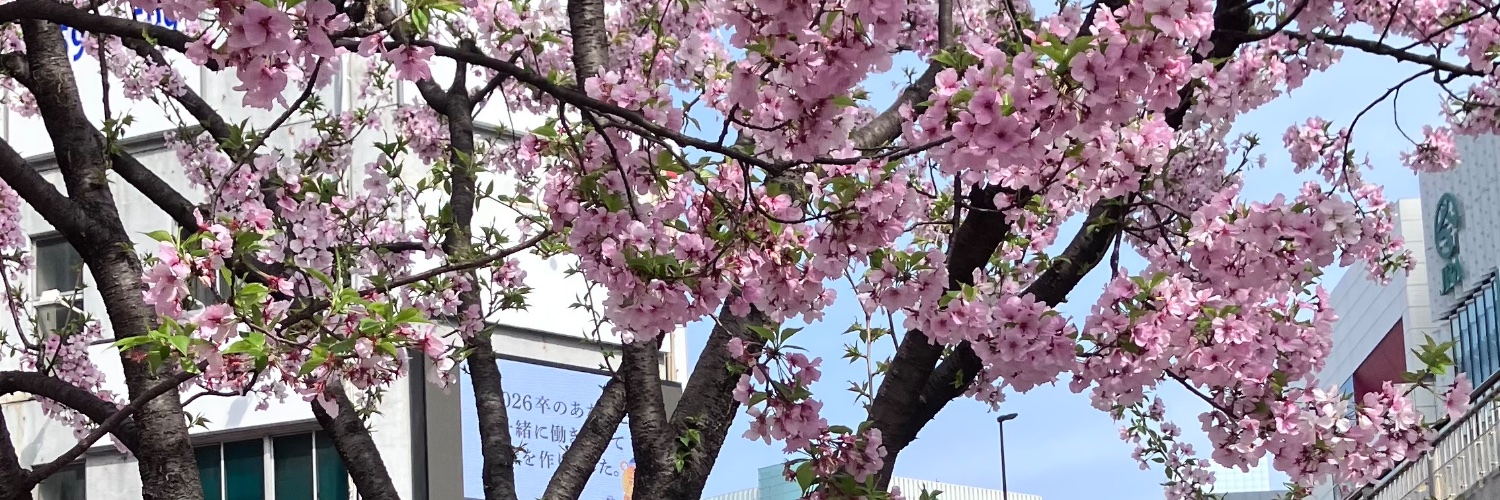 りく banner