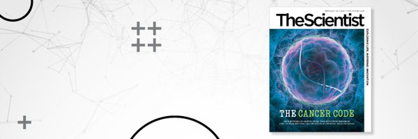 TheScientistLLC Profile Banner