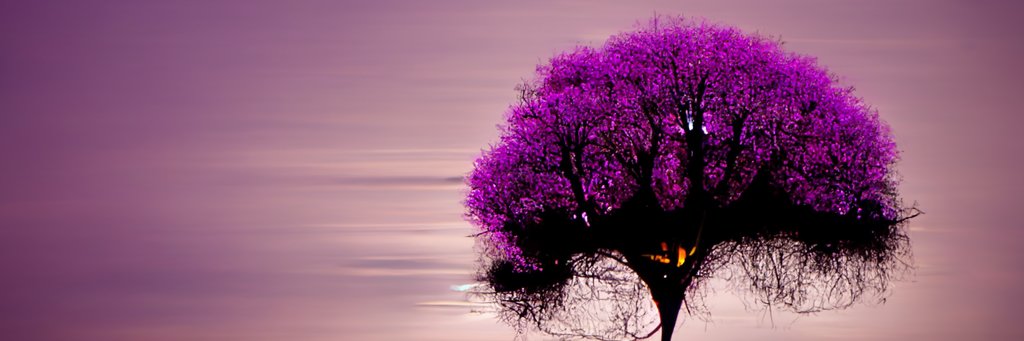 FlimmerGlimmer's profile banner image