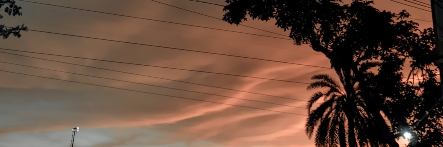 reichmannTas's profile banner image