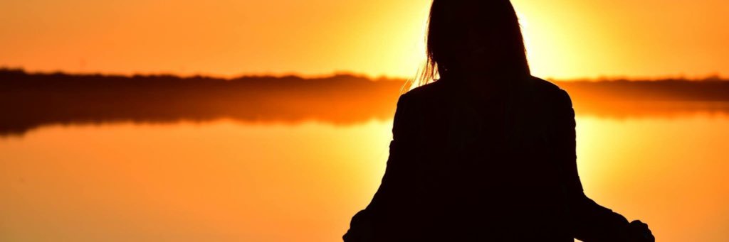 Wanda Williams banner