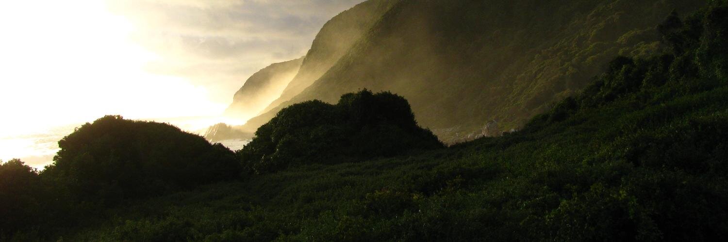 longhotsummer's profile banner image