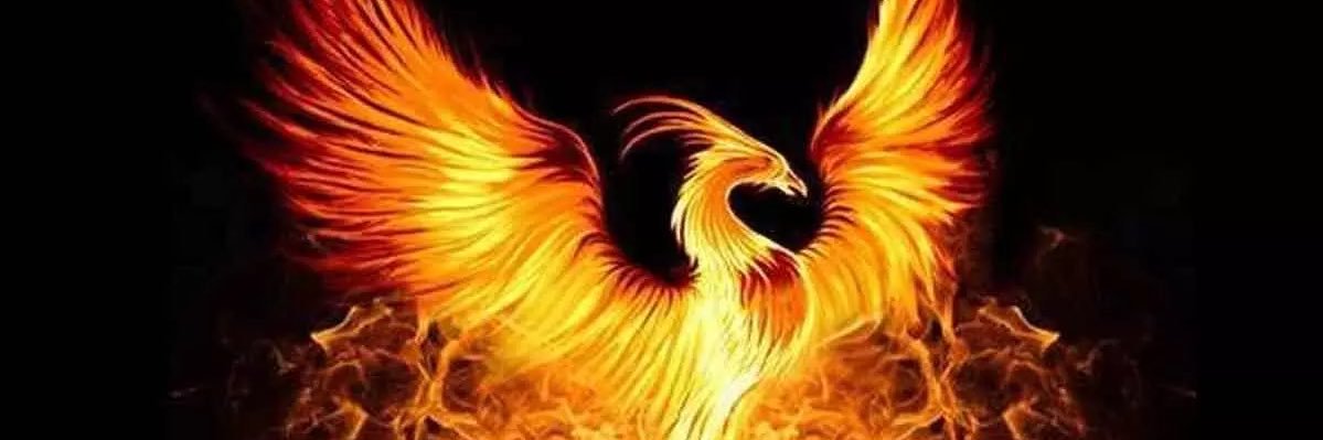 The Phoenix banner